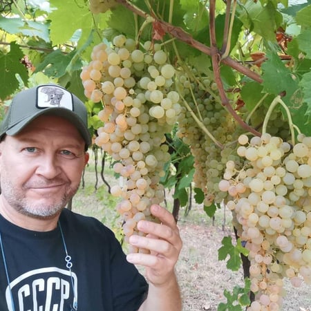 Andrea Fiorini Carbognin