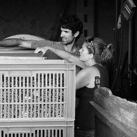 Anne Laure & Julien Gieules