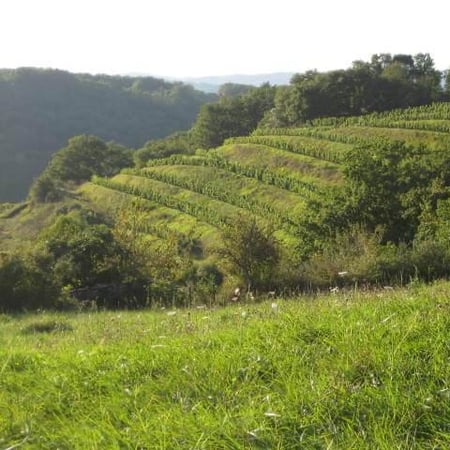 Claudine & Eric Vinas