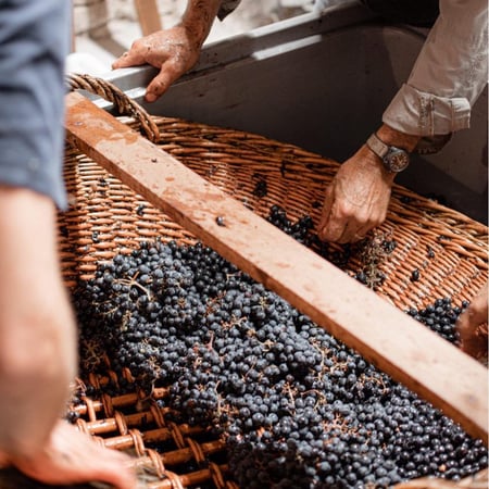 Ellie Bauwens & Imre Halász