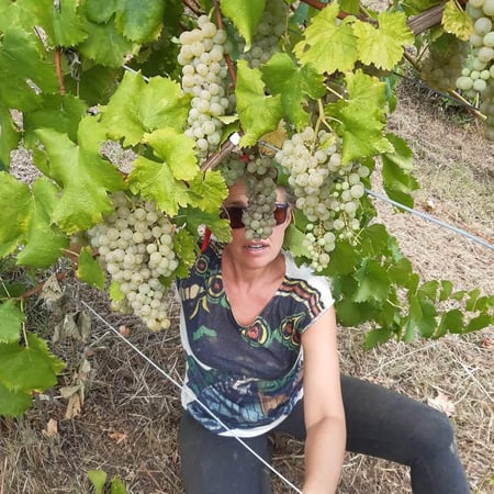 Filippo Cattaneo & Giulia Cecchelin