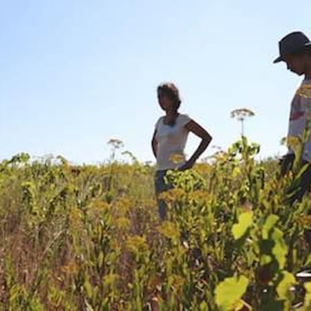 Laura Lees & Arthur Joly