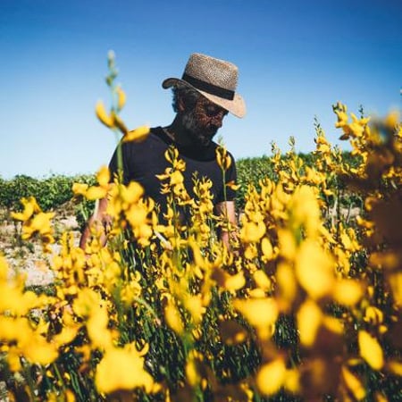 Laure et Grégory Aurel