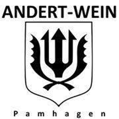 Michael & Erich Andert