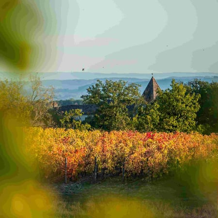 Pierre-Olivier & Pauline Laurent