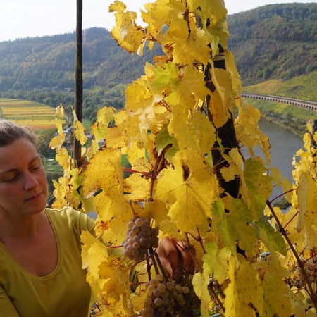 Jessika Reis & Philipp Musevi