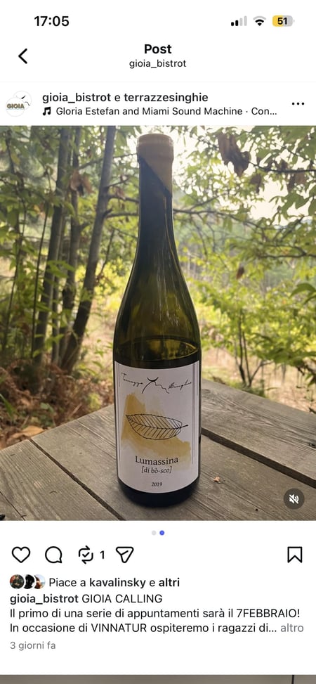 Pre Vinnatur - Gioia calling: Terrazze Singhie