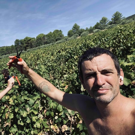 Basile Passe - Vin des Potes