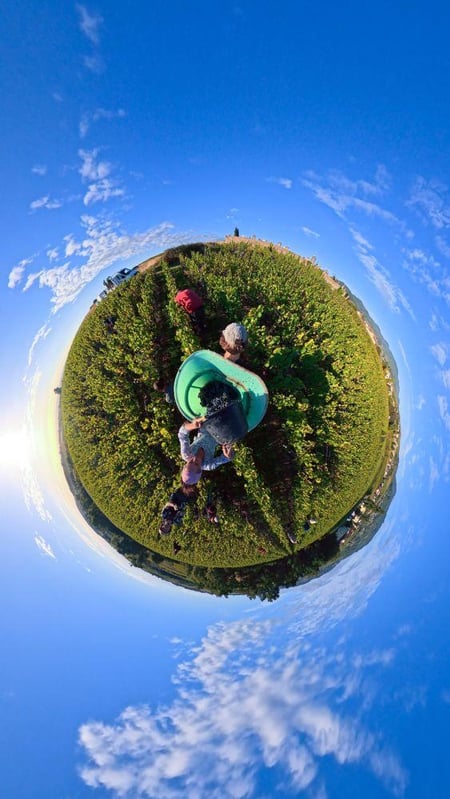 Julien Sunier - Julien Sunier