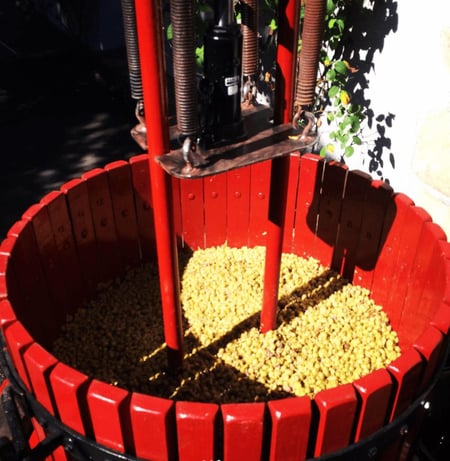 Nicolas Reau - Le Clos des Treilles