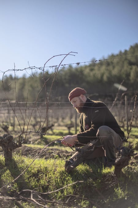 Nicolas Sinoir - Domaine De L'Ubac