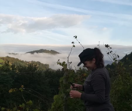 Pauline Broqua - Domaine des Buis