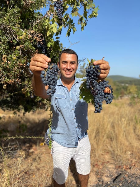 Caglar Bozcaga - Neferiye Wines