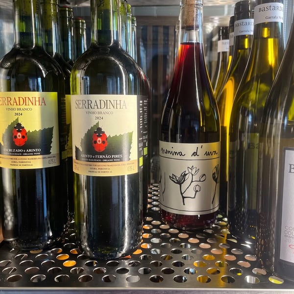 Bastardo Bar de Vinhos 1385698