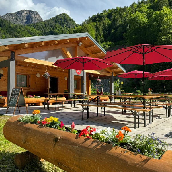 BAR ALPINO 906457