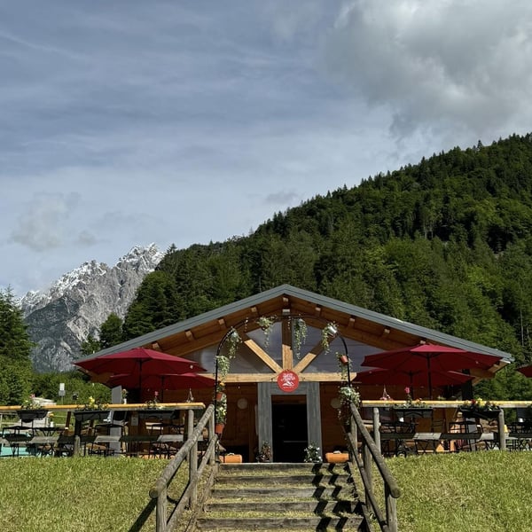 BAR ALPINO 906458