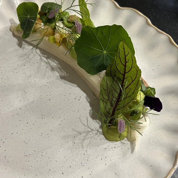 Restaurant Terra 813922