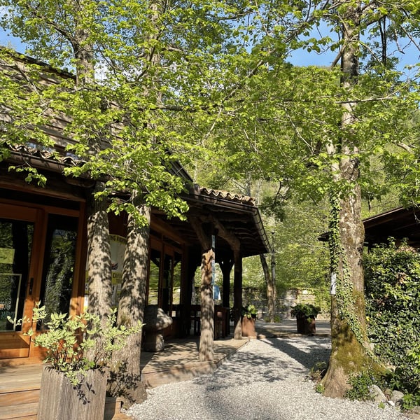 Camping Lazar 1363395