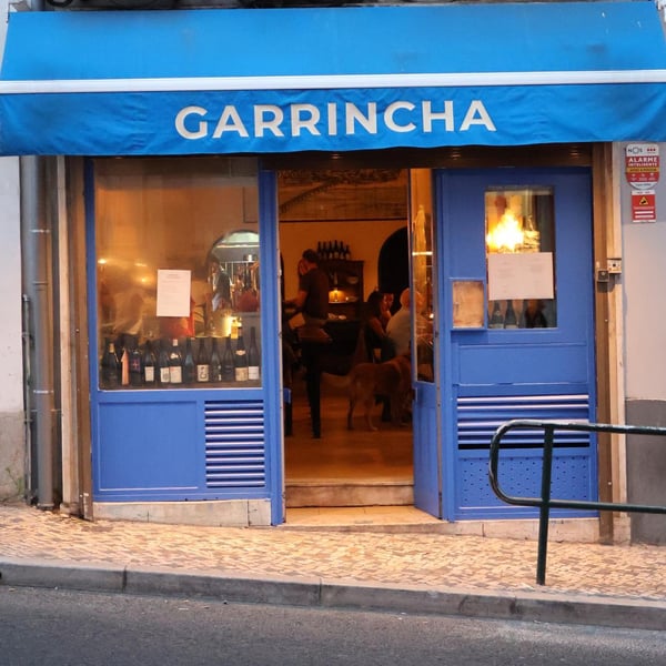 Garrincha 1388068