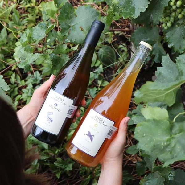 Rayuela bodega de vino 1392539