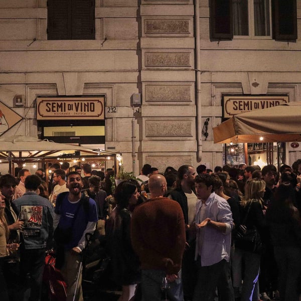 SEMI DI VINO 1367112