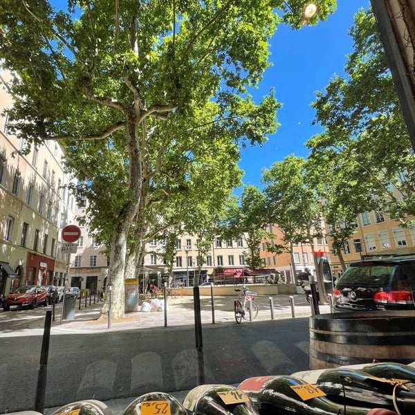 Ô Vins d’Anges 904776