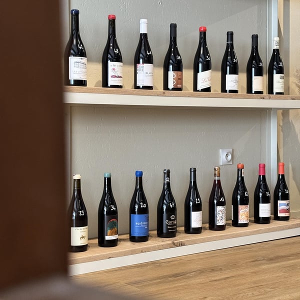 Pâquerette - Cave à manger 1383873
