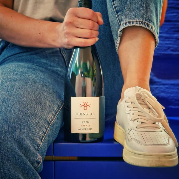 Tipsy Wine Concept Store 1377731
