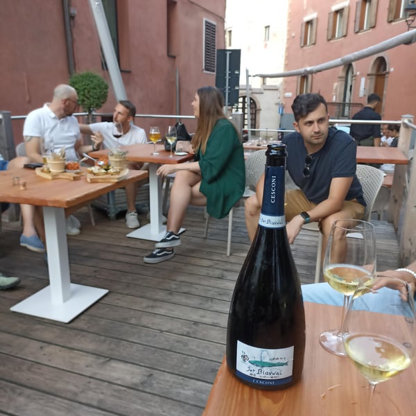 Ristorante Orso Grigio 872589