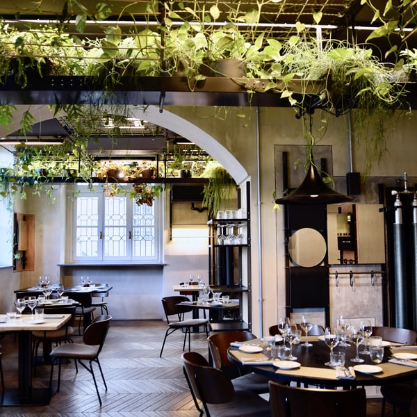 Almondo trattoria 1331447