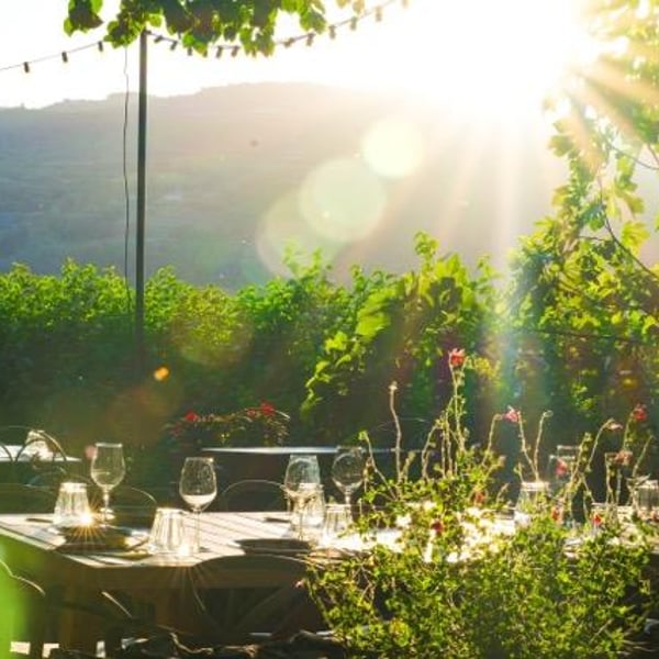 Auberge de Crussol 1378461