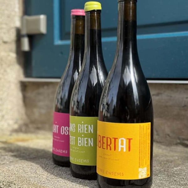 Milo, bistro et vins 974950