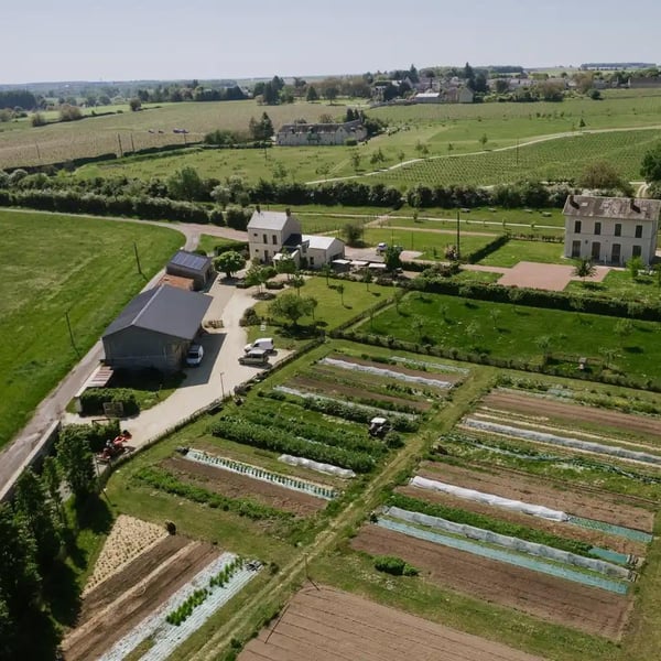Restaurant Les Jardiniers 1393371