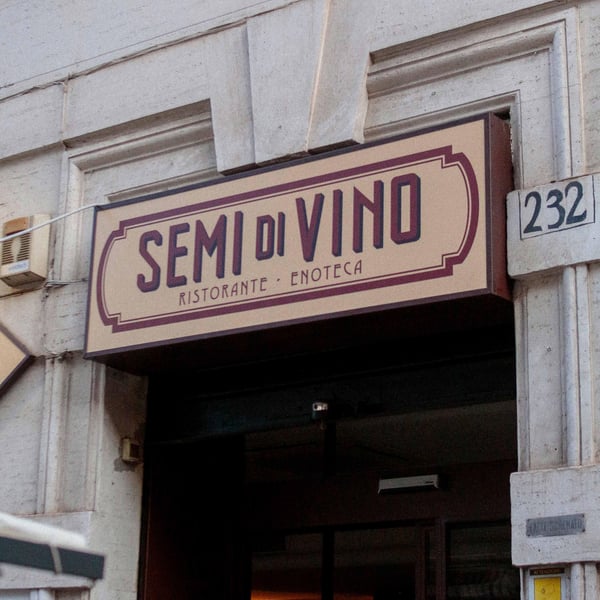 SEMI DI VINO 1364347