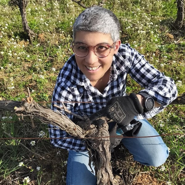 Clos Gisone