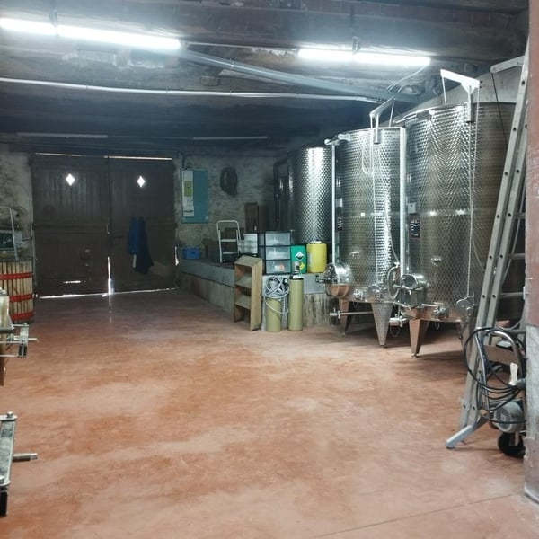 Clos Gisone - Clos Gisone