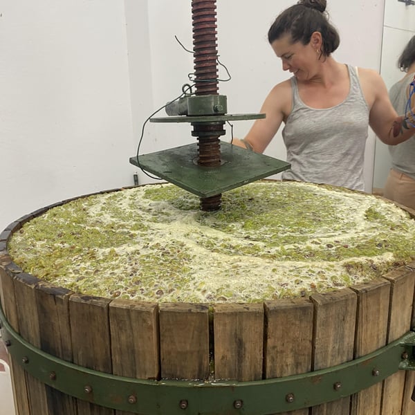 Bodega en Movimiento - Marta García & Ana Hernández