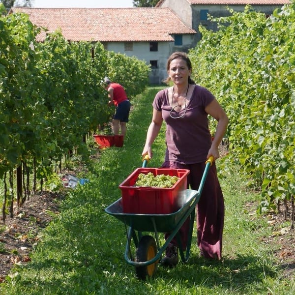 Azienda Alberto Lot - Alberto Lot