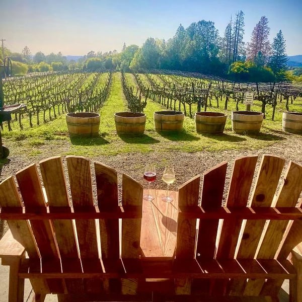 Conduit & Divergent Vine - 'Gold Dust Vineyard' - Aaron Bryan & Amy Krahe