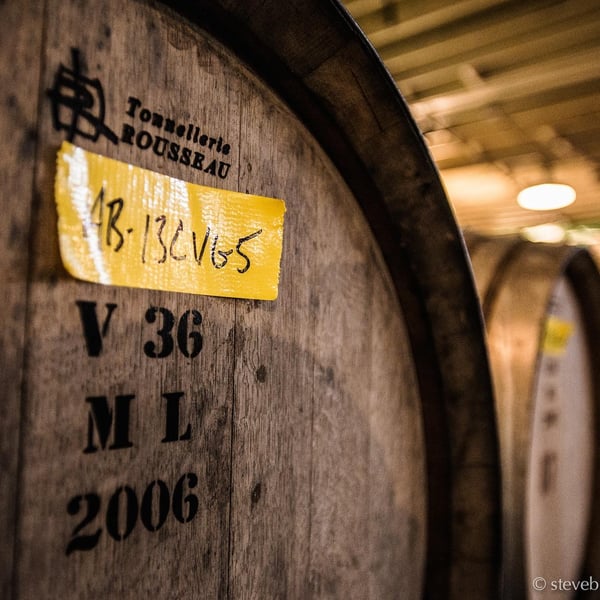 Conduit & Divergent Vine - 'Gold Dust Vineyard' - Aaron Bryan & Amy Krahe
