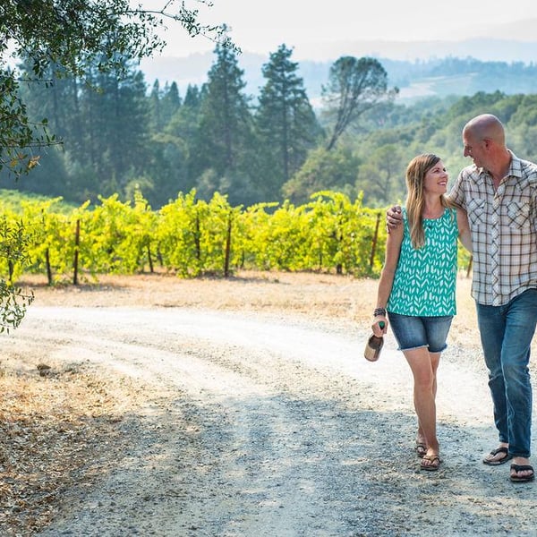 Conduit & Divergent Vine - 'Gold Dust Vineyard' - Aaron Bryan & Amy Krahe