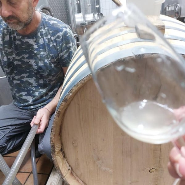 Vino Alberia - Alberto & Núria Cirafici