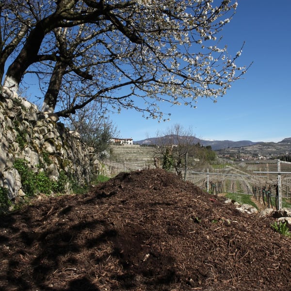 Alessandra Zantedeschi & Carlo Venturini