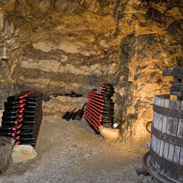 Alessandra Zantedeschi & Carlo Venturini