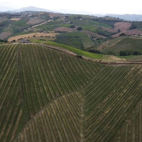 Vini Clandestini - Anna Caliendo & Maurizio Listone