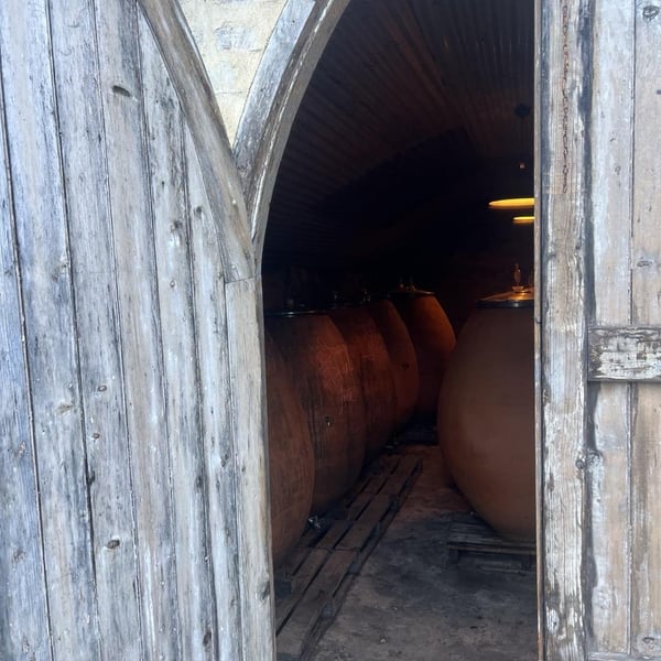 Lucy Margaux Vineyards - Anton Van Klopper