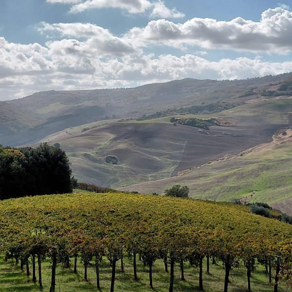 Azienda Agricola Steiger-Kalena - Giulio & Margarita Steiger
