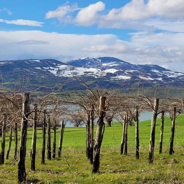 Azienda Agricola Steiger-Kalena - Giulio & Margarita Steiger