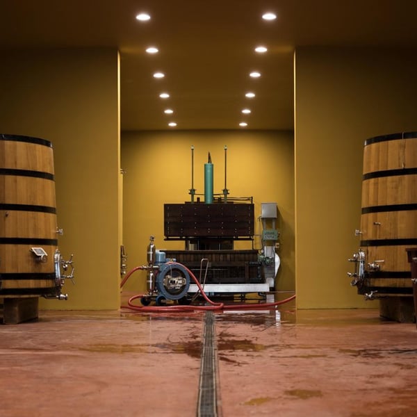 Azienda Agricola Steiger-Kalena - Giulio & Margarita Steiger