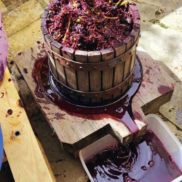 Clos Jouan - Bruno Besson